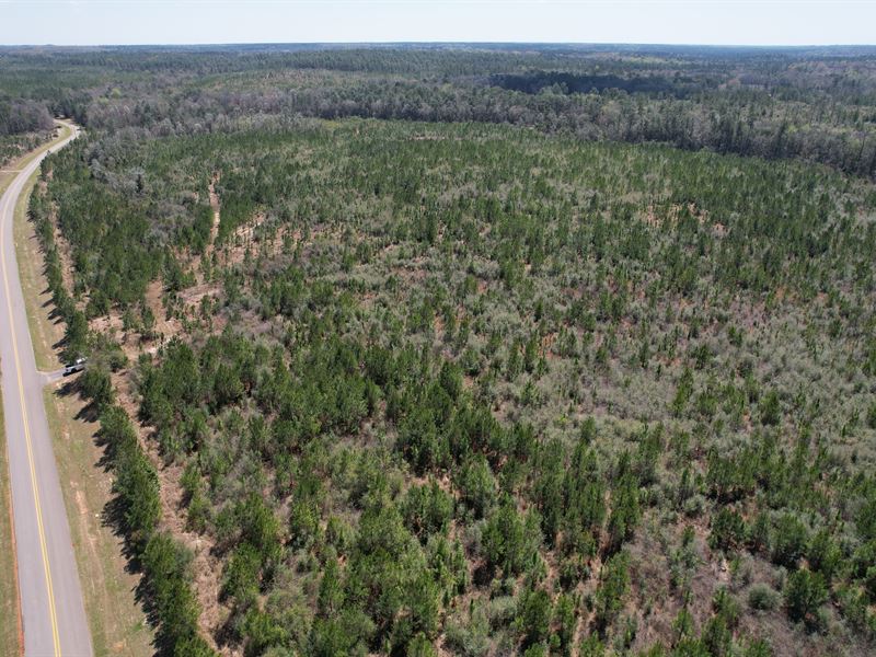 Masons Ferry South, 373 Ac, Mobile : Wilmer : Mobile County : Alabama