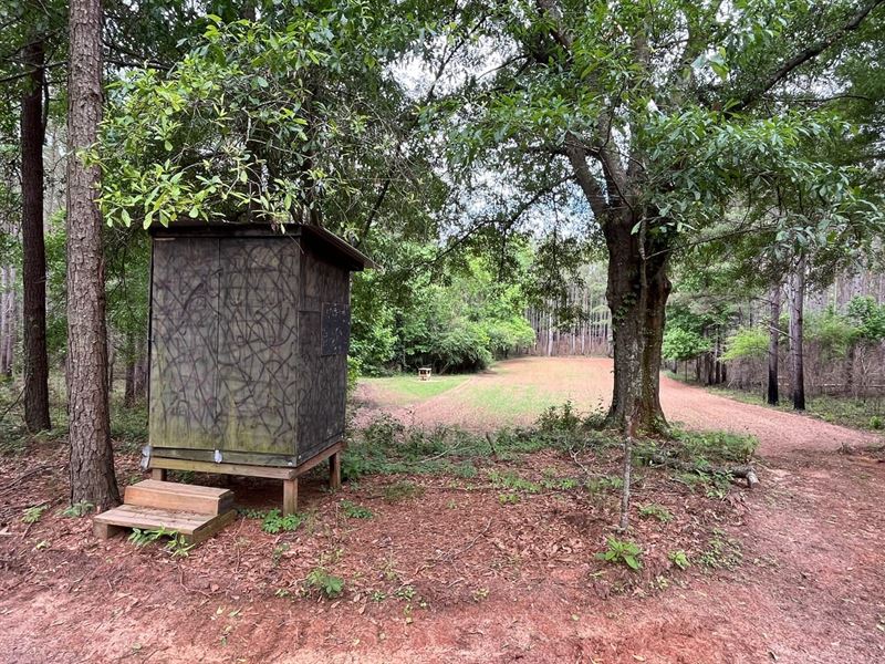 Patton Road Tract : Rutledge : Crenshaw County : Alabama