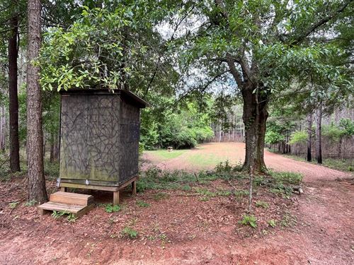 Patton Road Tract : Rutledge : Crenshaw County : Alabama