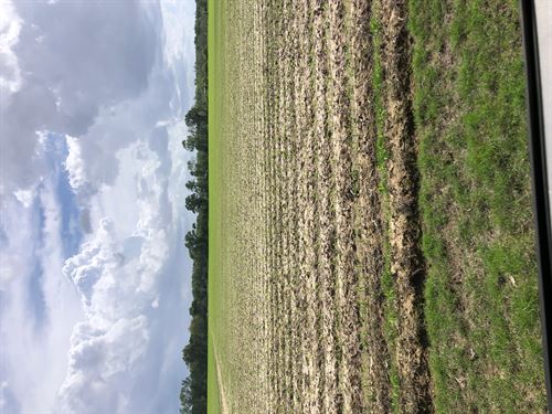 La, Franklin 349 Acres : Winnsboro : Franklin Parish : Louisiana
