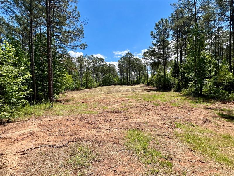 Rollin Mill Farm Tract 5, 11 Ac : Franklin : Heard County : Georgia