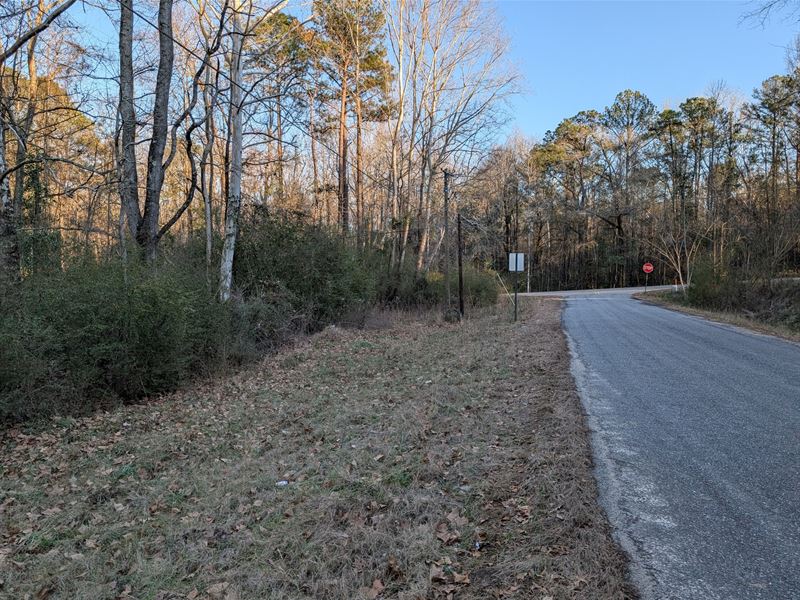 29 Acres in Deatsville-Homesite : Deatsville : Elmore County : Alabama
