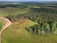 149 Acres, Pasture, Standing : Five Points : Chambers County : Alabama
