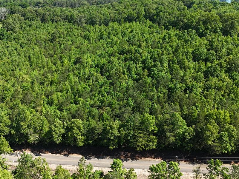 Lot 2 Gaylesville : Gaylesville : Cherokee County : Alabama