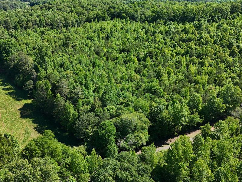 Lot 1 Gaylesville : Gaylesville : Cherokee County : Alabama