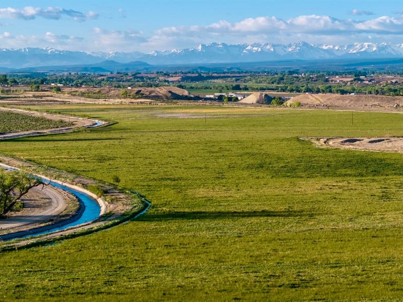 Montrose CO Cattle Ranch, Irrigated : Montrose : Montrose County : Colorado