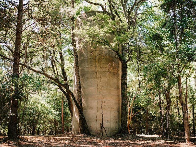 Rare Opportunity in Maxeys, GA : Maxeys : Oglethorpe County : Georgia