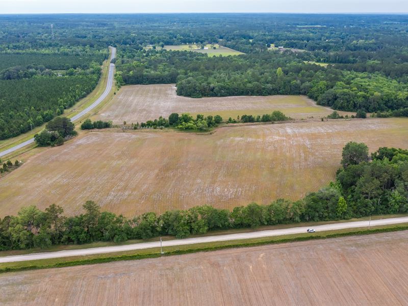 52.95 Acres in Lacrosse : Lacrosse : Alachua County : Florida