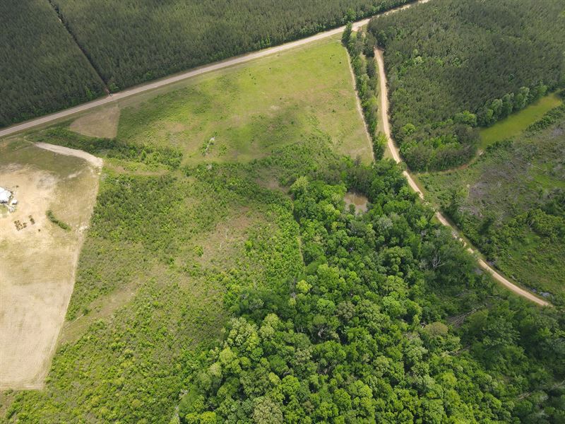 12.41 Acres in Rankin County, MS : Lena : Rankin County : Mississippi