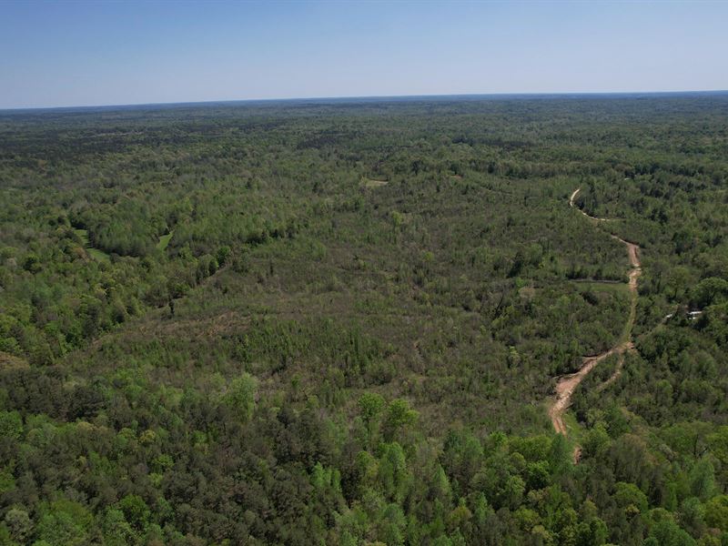120 Acres Holmes County, MS : Lexington : Holmes County : Mississippi