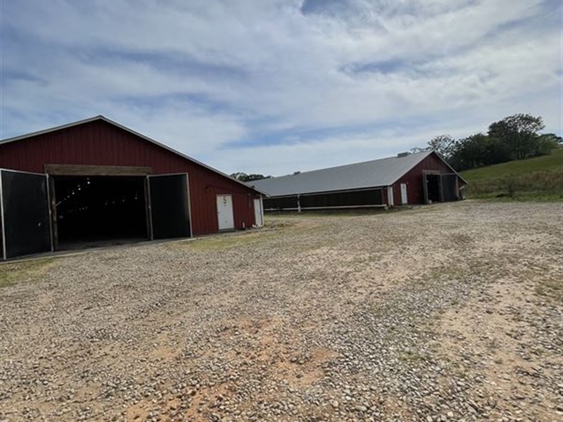Six House Broiler Farm : Bowman : Madison County : Georgia