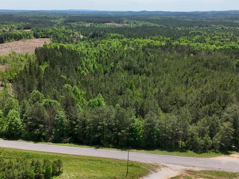 Lot 2 CR 40 Fruithurst, AL : Fruithurst : Cleburne County : Alabama