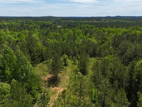 Lot 3 CR 40 Fruithurst, AL : Fruithurst : Cleburne County : Alabama