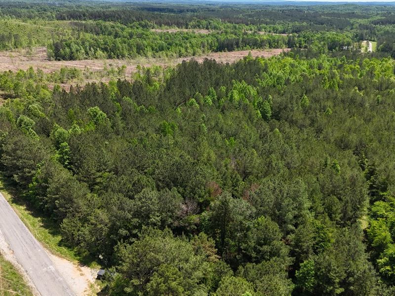Lot 1 CR 40 Fruithurst, AL : Fruithurst : Cleburne County : Alabama
