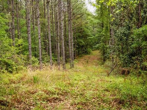 Hunting Property Homochitto Nat'l : Crosby : Wilkinson County : Mississippi