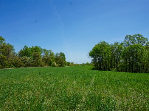 Sealover Hollow, 84.54 Acres : Philo : Muskingum County : Ohio