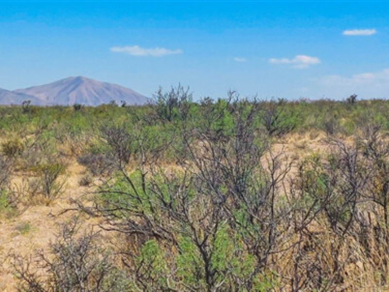 Edgy El Paso Dreams : Salt Flat : Hudspeth County : Texas