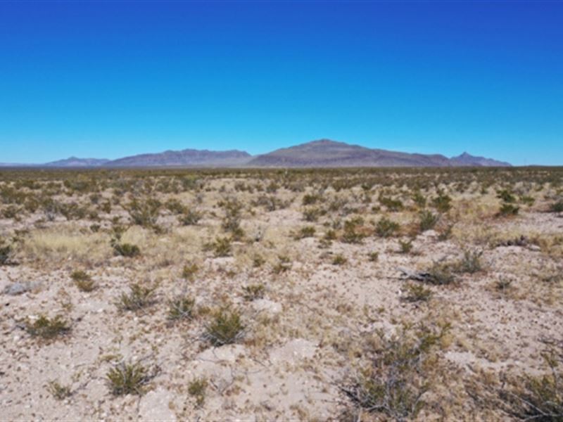 10 Acres Near Guadalupe Mountains : Salt Flat : Hudspeth County : Texas