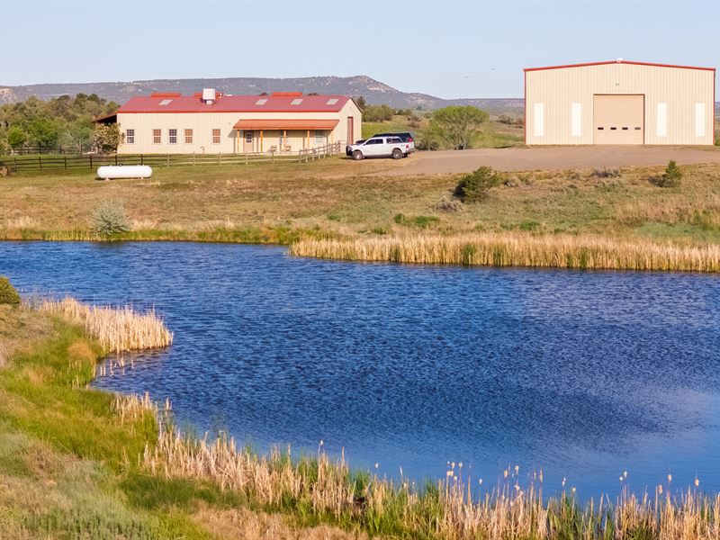 Arboles Lakes Irrigation Ranch, 160 : Ignacio : Archuleta County : Colorado