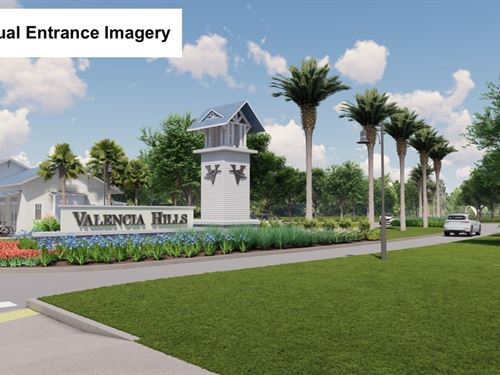 Shovel-Ready 136 Residential Estate : Lake Wales : Polk County : Florida