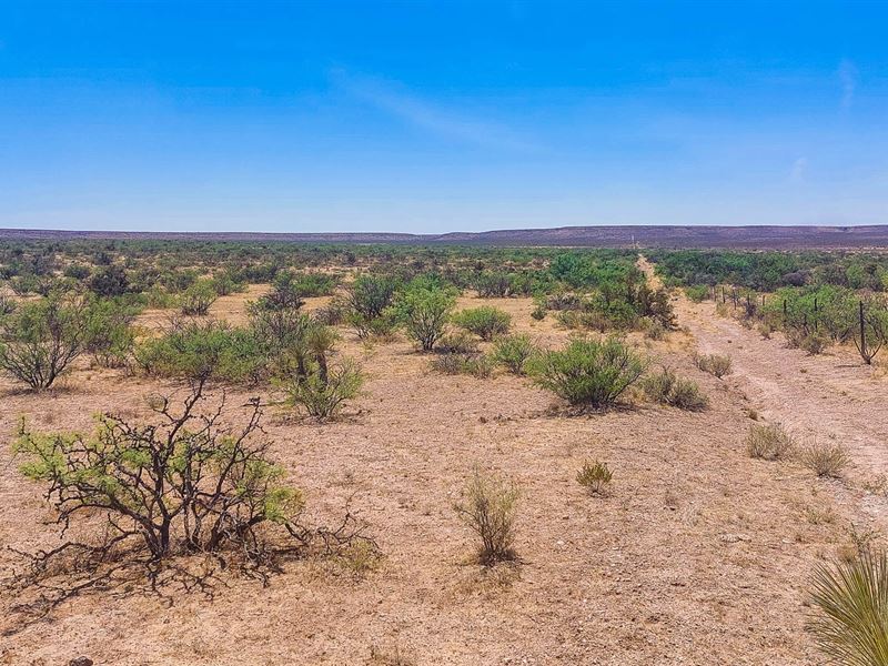 City Living vs 20 Acres of Freedom : Sierra Blanca : Hudspeth County : Texas