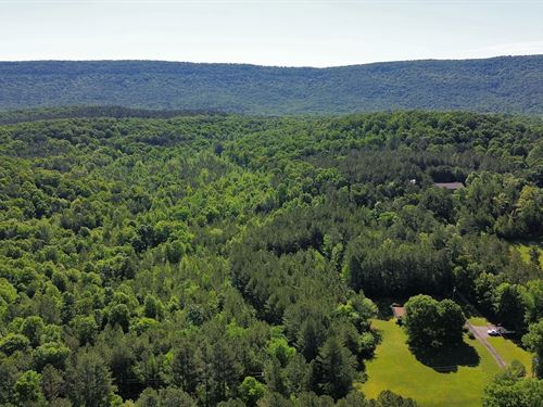 35 Acres in Walker County, GA : Lafayette : Walker County : Georgia