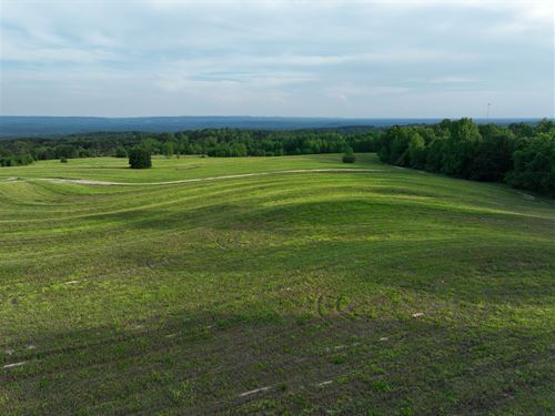 See for Miles, 15 Ac Farm & Home : Hayden : Blount County : Alabama