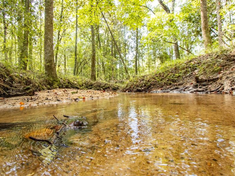 394 Ac Prime Recreation Timber Inve : Graceville : Holmes County : Florida