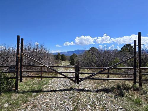 Log Hill Haven : Ridgway : Ouray County : Colorado