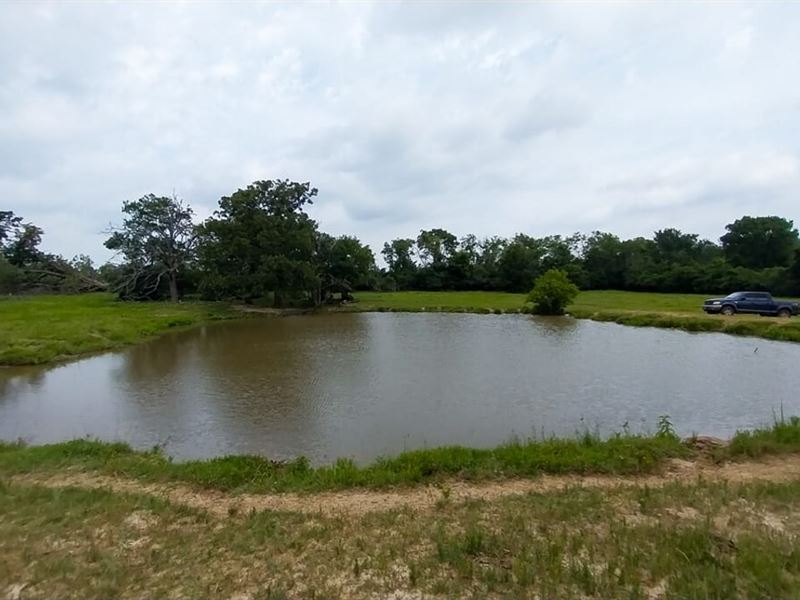 49 Acres, County Road 3465 : Lovelady : Houston County : Texas