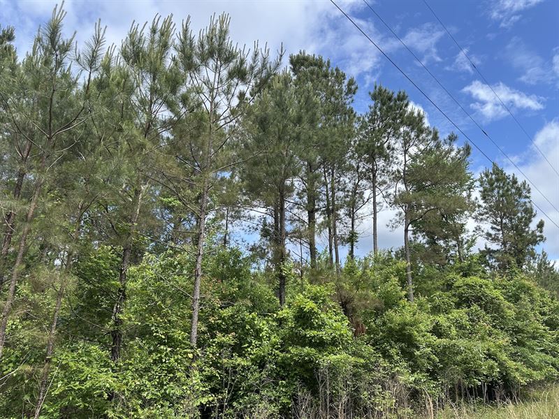 Church Road North 22 Tract : McCool : Choctaw County : Mississippi