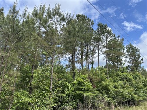 Church Road North 22 Tract : McCool : Choctaw County : Mississippi