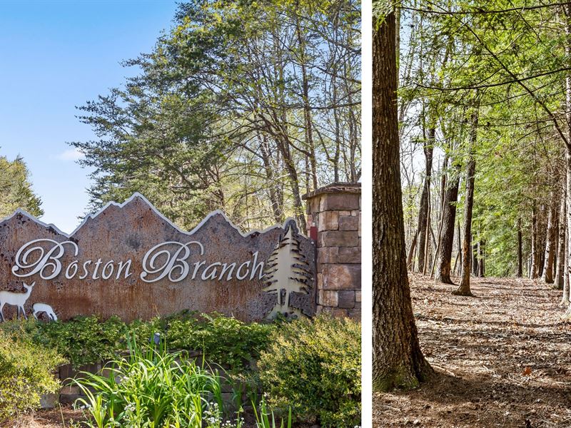 Over 8 Acres Bordering A State Park : Signal Mountain : Hamilton County : Tennessee