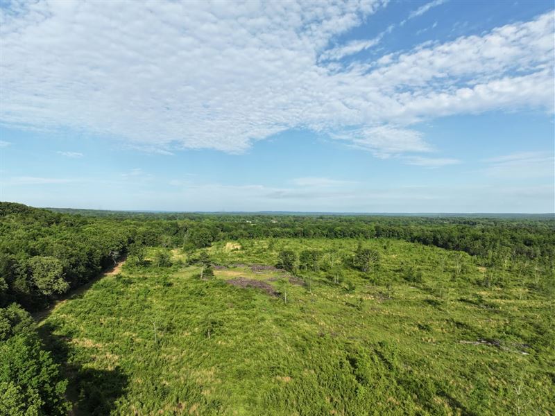 83.17 Acres in Greenbrier, AR : Greenbrier : Faulkner County : Arkansas