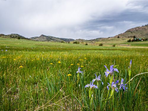 816 Meadow Way : Livermore : Larimer County : Colorado