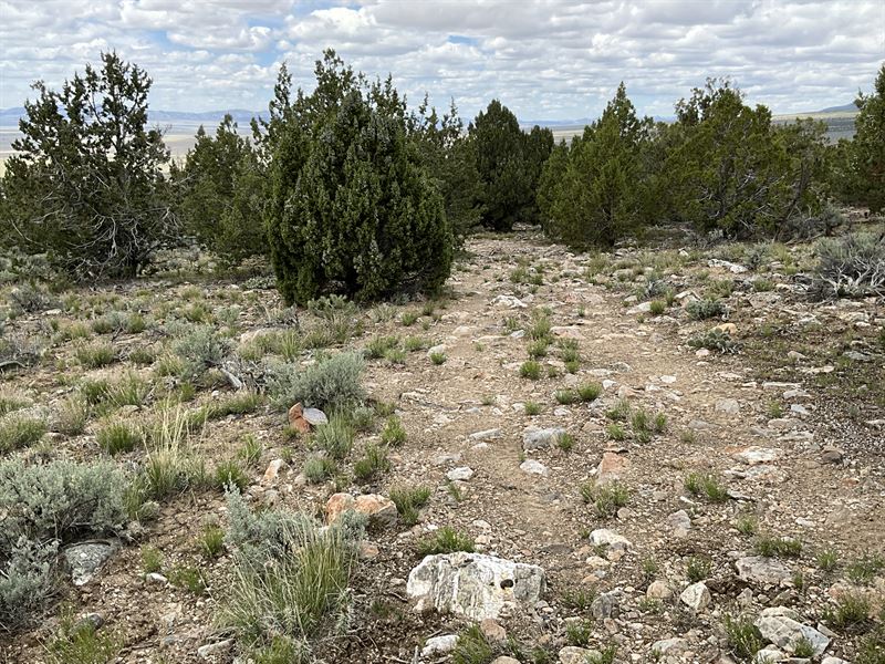 10 Acre Retreat, $225/Mo : West Wendover : Elko County : Nevada