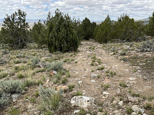 10 Acre Retreat, $225/Mo : West Wendover : Elko County : Nevada