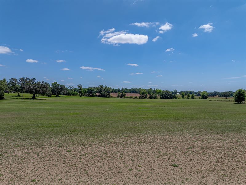 Alachua Transitional Acreage : Alachua : Alachua County : Florida