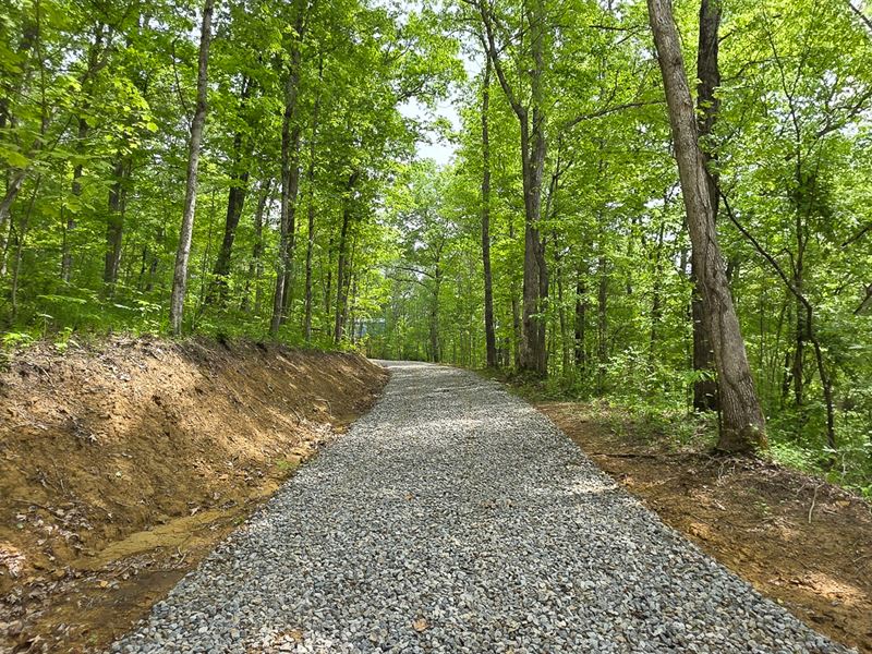 Big Timber Ridge, Phase II Tract 2 : Vinton : Meigs County : Ohio