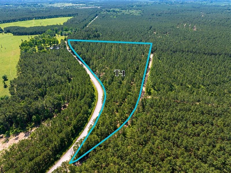 11 Acres, T-1, Camp Ruby Road : Livingston : Polk County : Texas