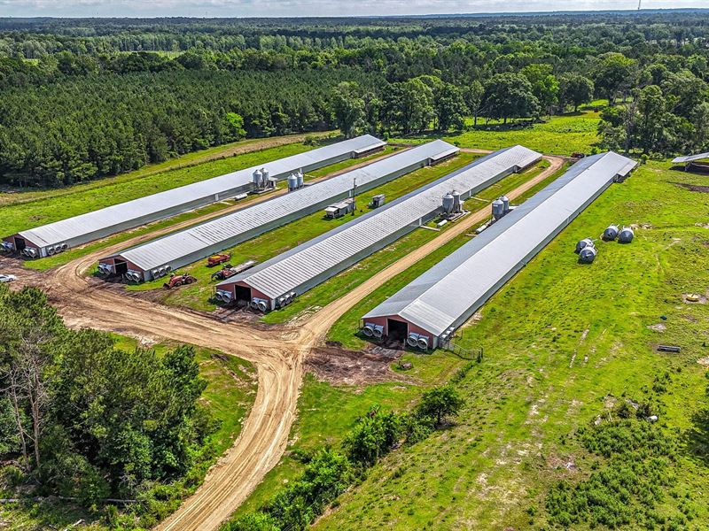 Price Reduced, B4 Broiler Farm : Tylertown : Walthall County : Mississippi