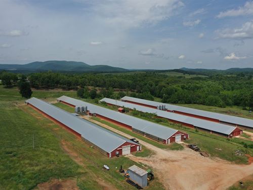 Preice Reduced, Solid Rock Farm : Lineville : Clay County : Alabama