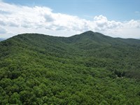 69 Acres, Union County, Georgia : Young Harris : Union County : Georgia