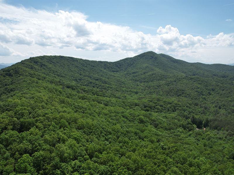 69 Acres, Union County, Georgia : Young Harris : Union County : Georgia