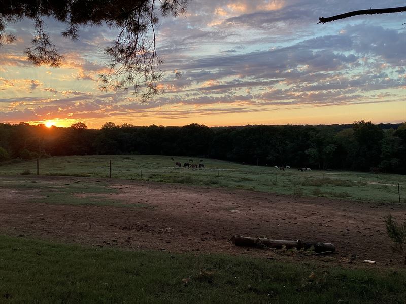 Broadway School Rd Farm & Homestead : Anderson : Anderson County : South Carolina