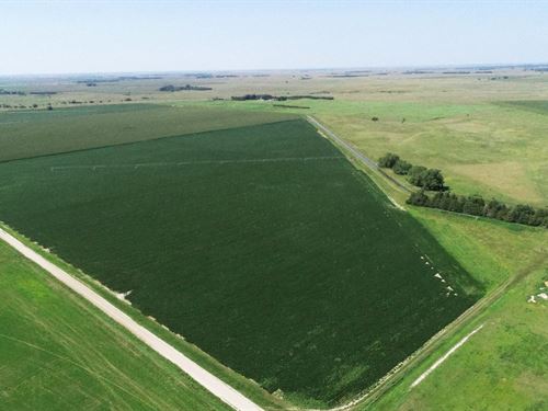 181 Acres, Brown County Pivots : Ainsworth : Brown County : Nebraska
