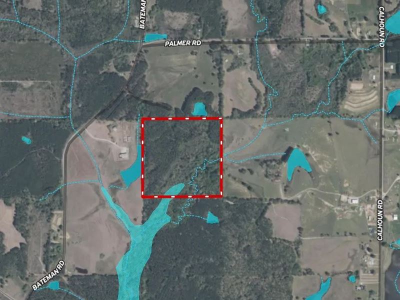 40.35 Acres in Winston County, MS : Louisville : Winston County : Mississippi