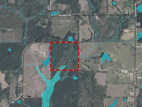 40.35 Acres in Winston County, MS : Louisville : Winston County : Mississippi