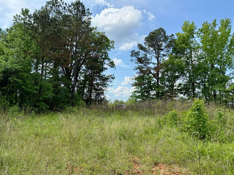 35.4 Acres in Winston County, MS : Louisville : Winston County : Mississippi