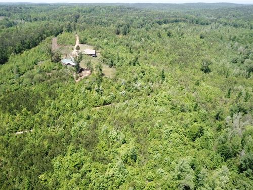 Price Reduced, 67.5 Acres : Lawley : Bibb County : Alabama